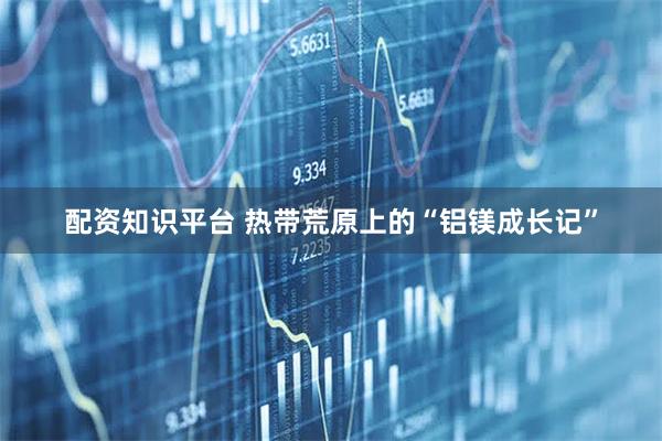配资知识平台 热带荒原上的“铝镁成长记”